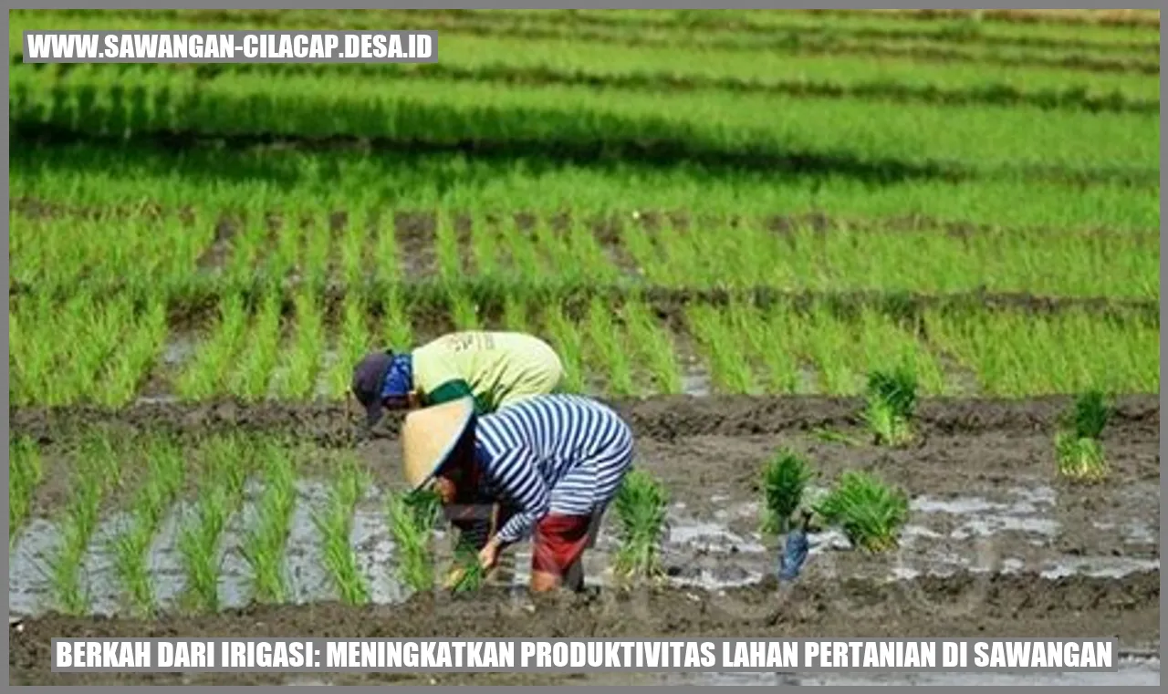 Manfaat Irigasi Terhadap Produktivitas Pertanian Sawangan