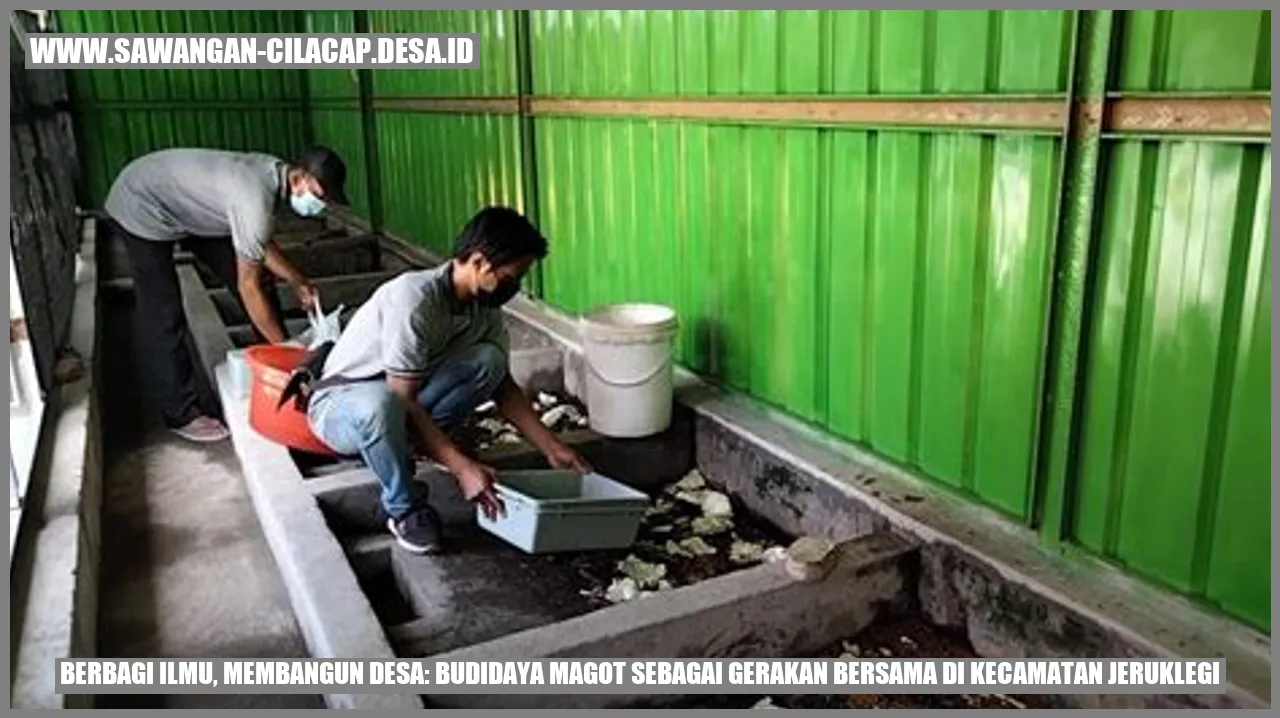 Gambar Budidaya Magot