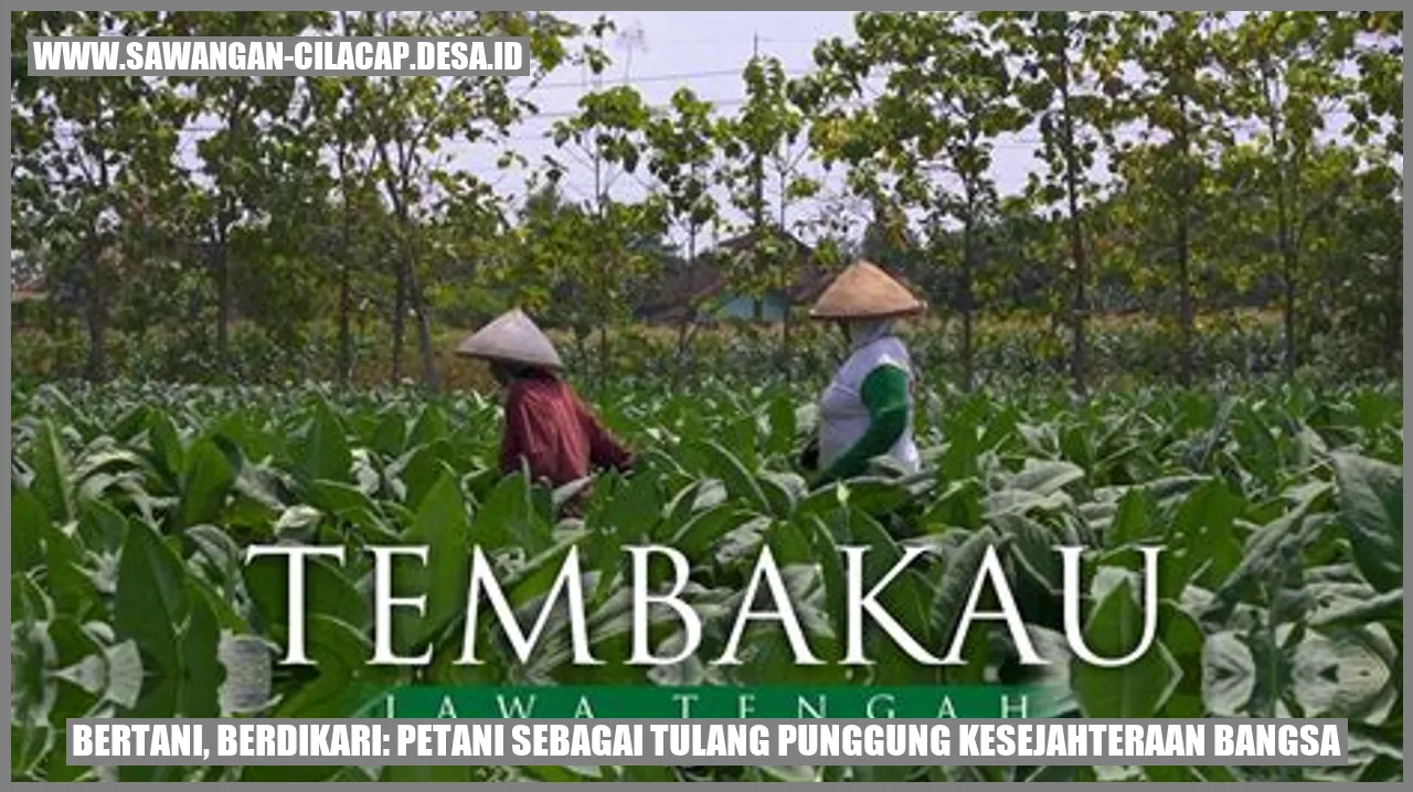 Petani