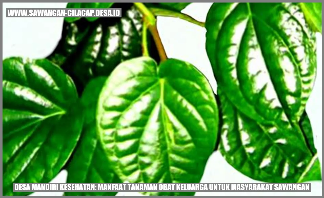 Desa Mandiri Kesehatan: Manfaat Tanaman Obat Keluarga untuk Masyarakat Sawangan