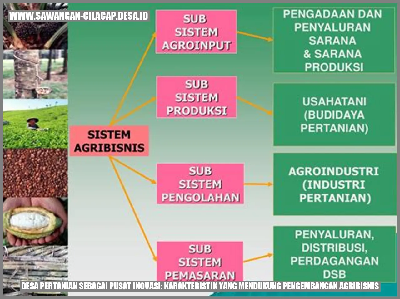 Desa Pertanian Sebagai Pusat Inovasi: Karakteristik yang Mendukung Pengembangan Agribisnis