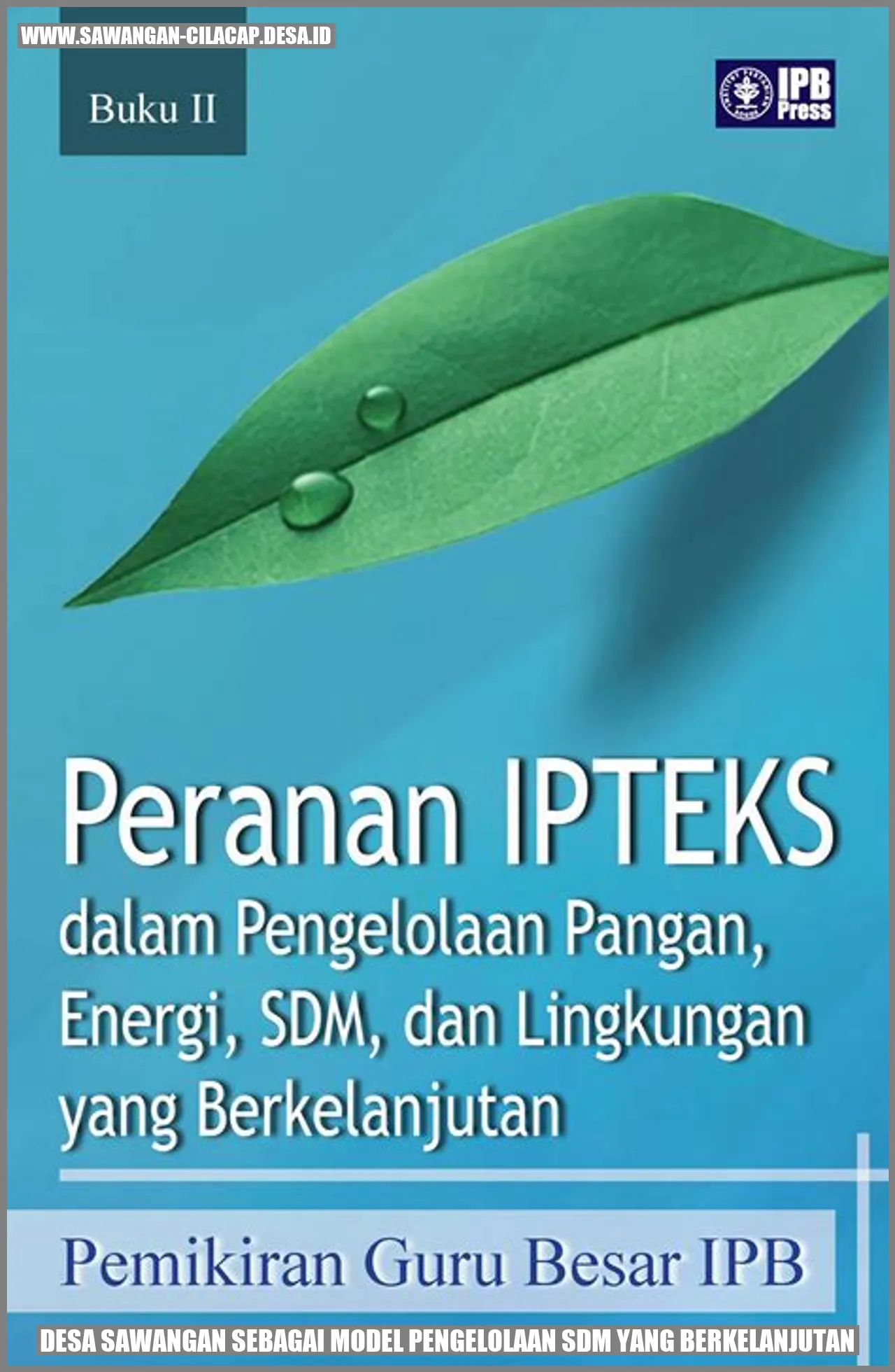 Desa Sawangan