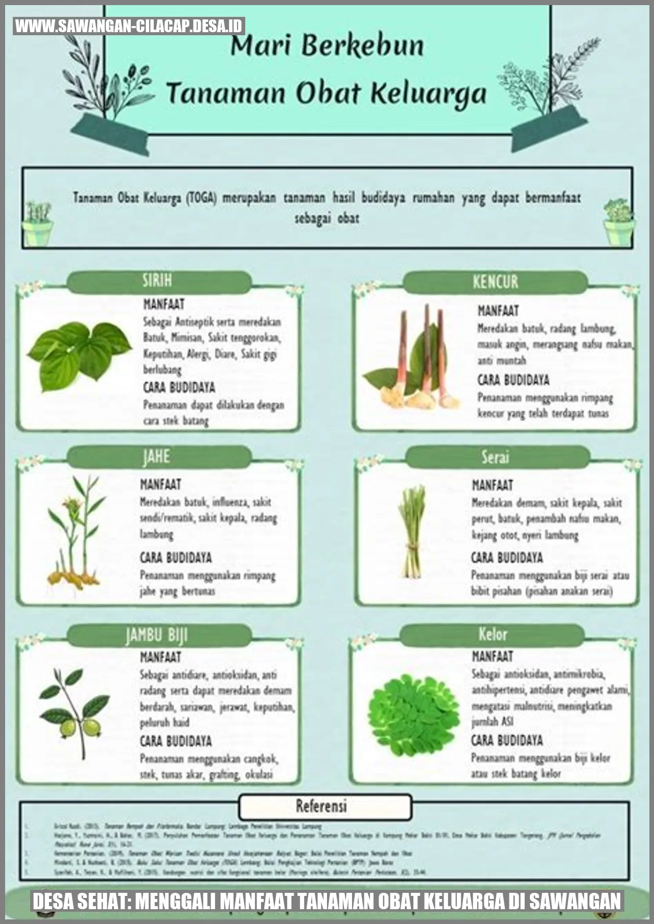 desa-sehat-menggali-manfaat-tanaman-obat-keluarga-di-sawangan.webp
