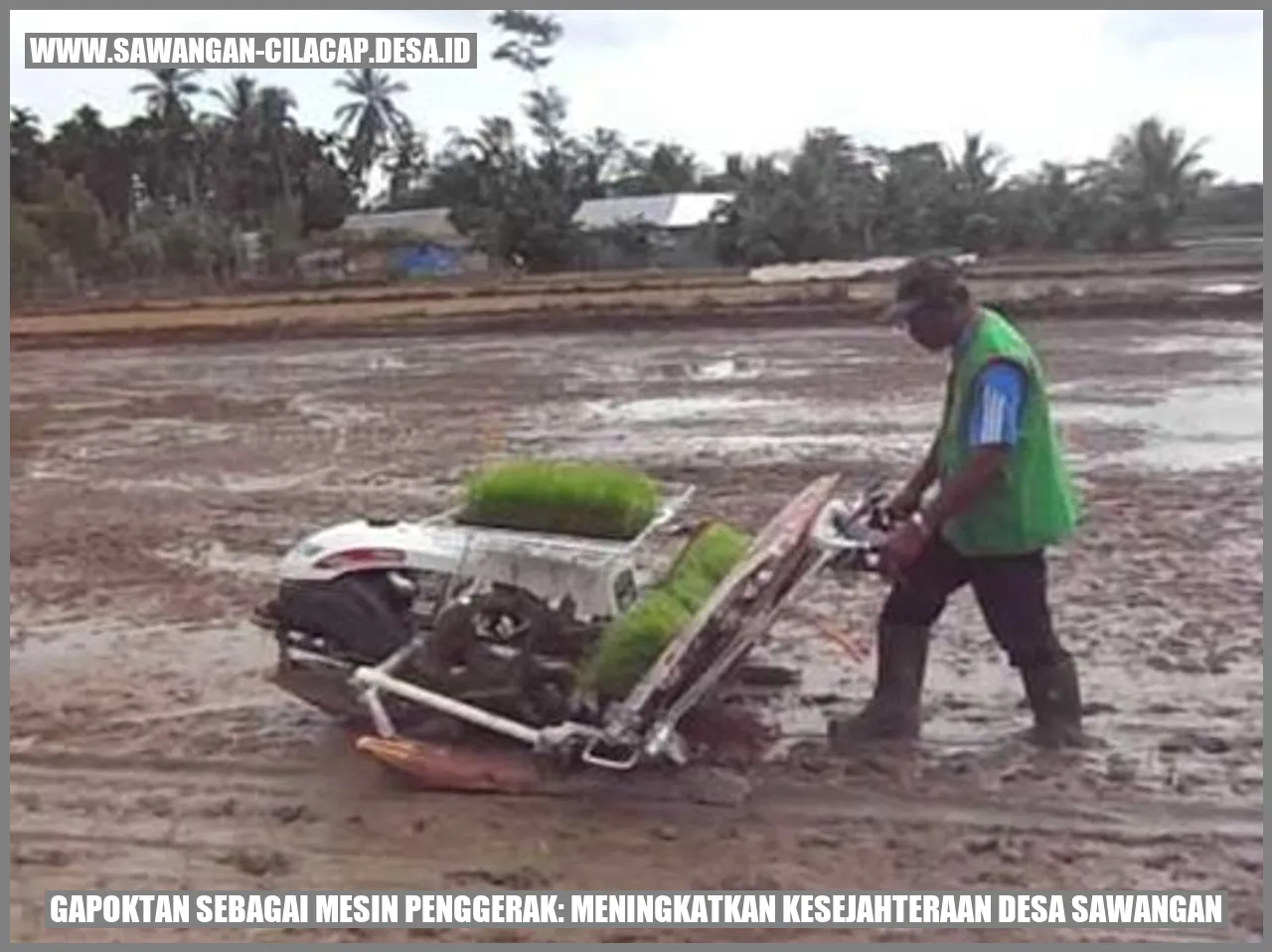 Gapoktan Sebagai Mesin Penggerak: Meningkatkan Kesejahteraan Desa Sawangan