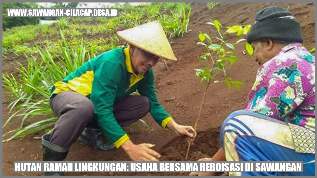 Hutan Ramah Lingkungan: Usaha Bersama Reboisasi di Sawangan