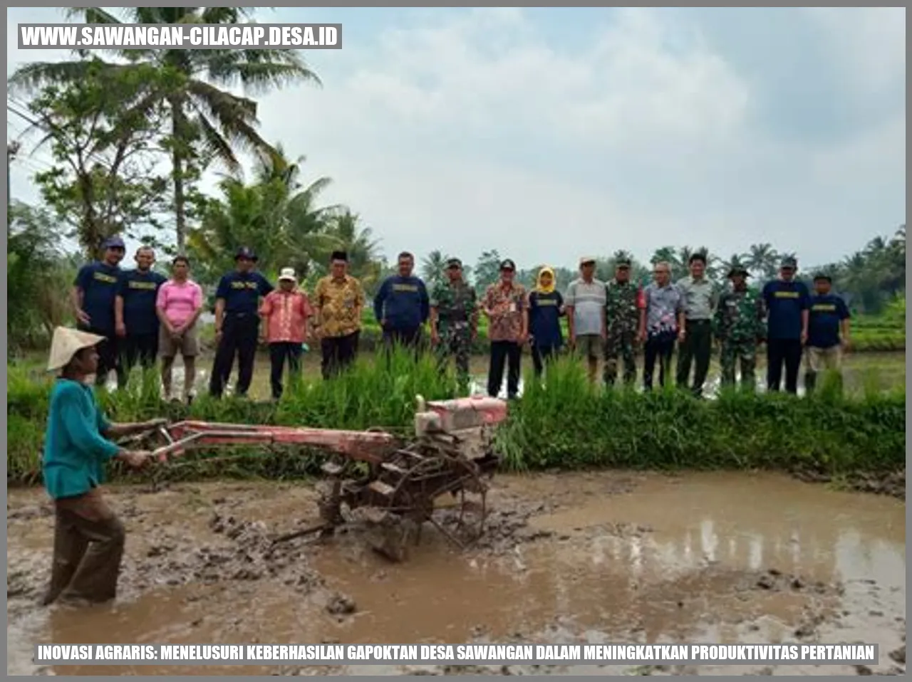 Inovasi Agraris: Menelusuri Keberhasilan Gapoktan Desa Sawangan dalam Meningkatkan Produktivitas Pertanian