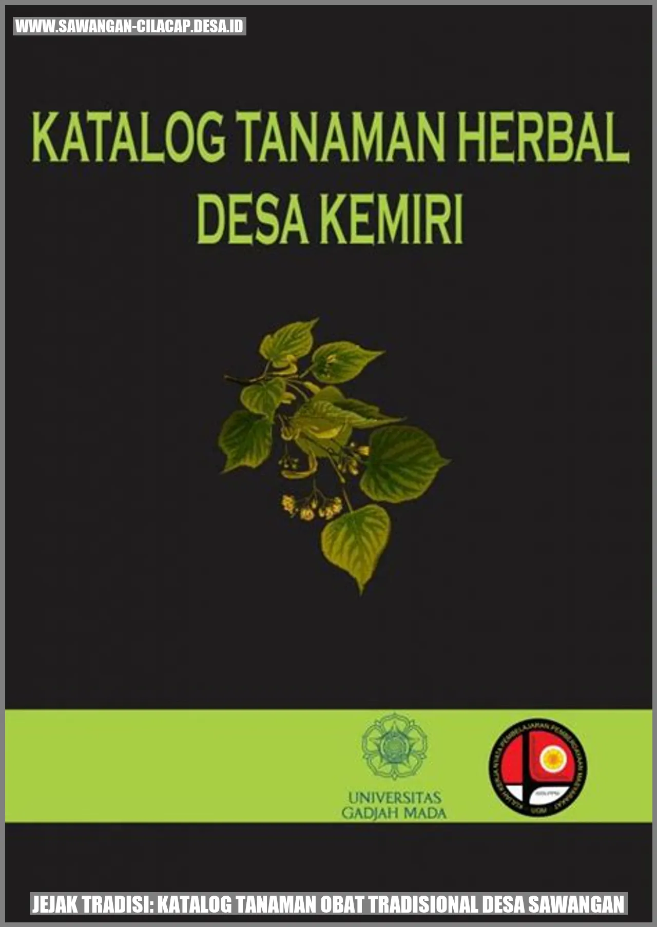 Katalog Tanaman Obat Tradisional Desa Sawangan
