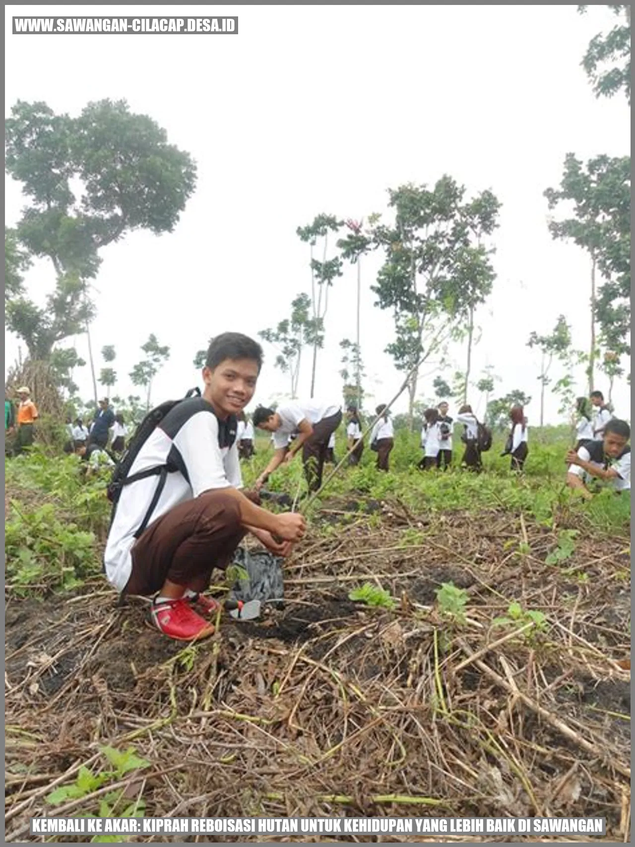 Reboisasi Hutan di Sawangan