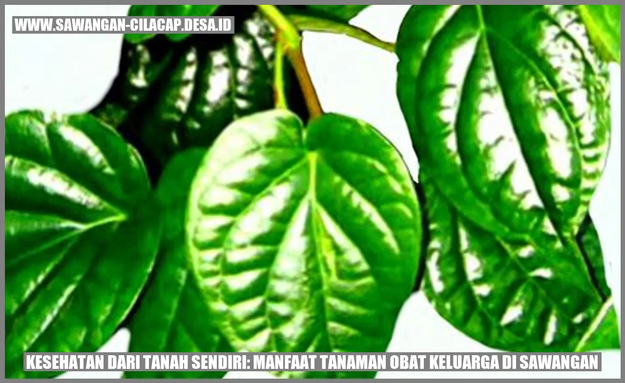 Tanaman Obat Keluarga