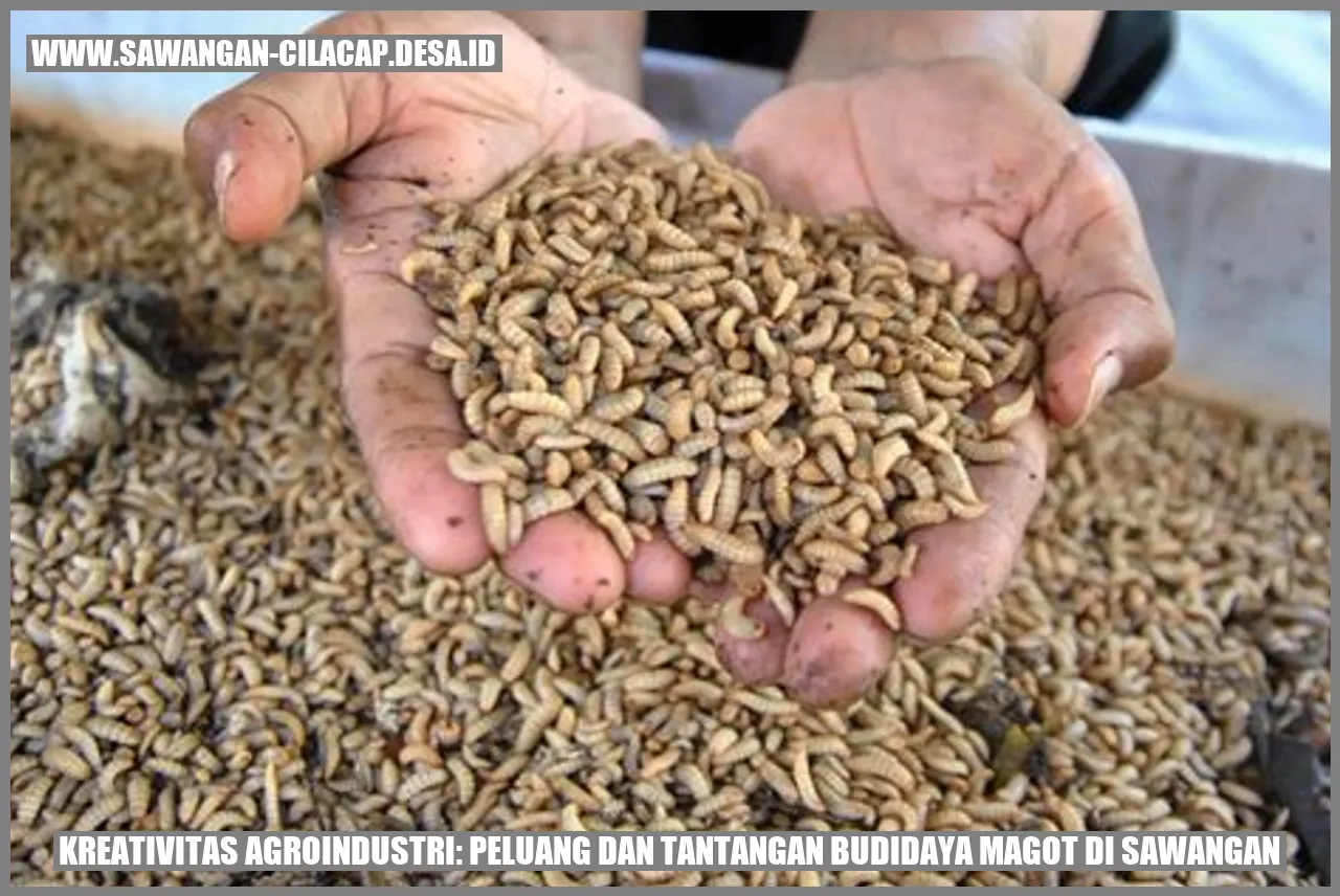 Kreativitas Agroindustri: Peluang dan Tantangan Budidaya Magot di Sawangan