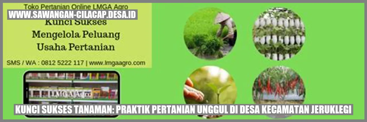 Kunci Sukses Tanaman: Praktik Pertanian Unggul di Desa Kecamatan Jeruklegi