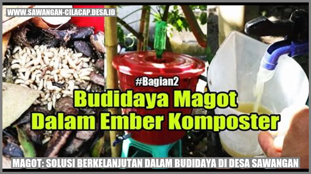 Magot: Solusi Berkelanjutan dalam Budidaya di Desa Sawangan