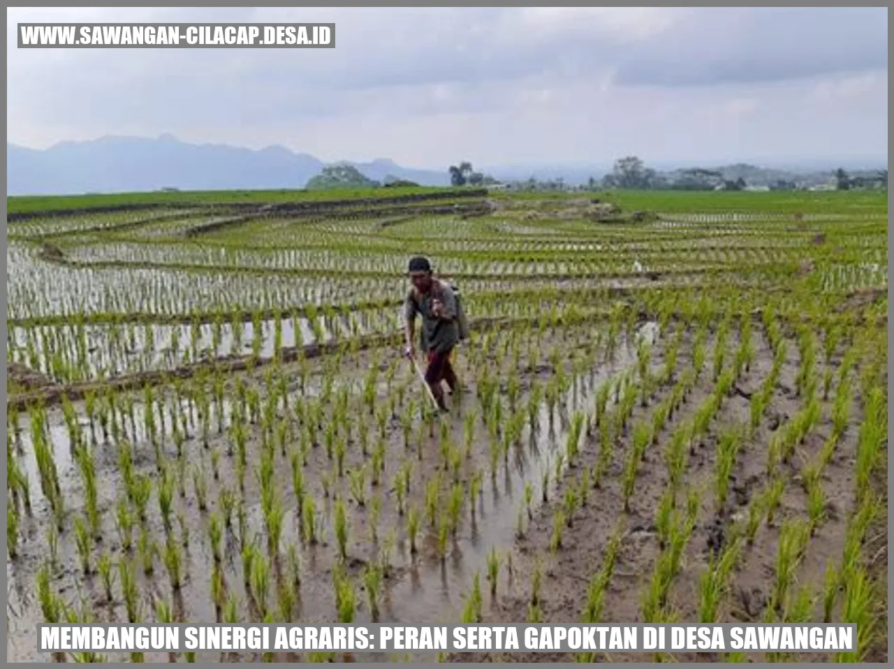 Membangun Sinergi Agraris: Peran Serta Gapoktan di Desa Sawangan