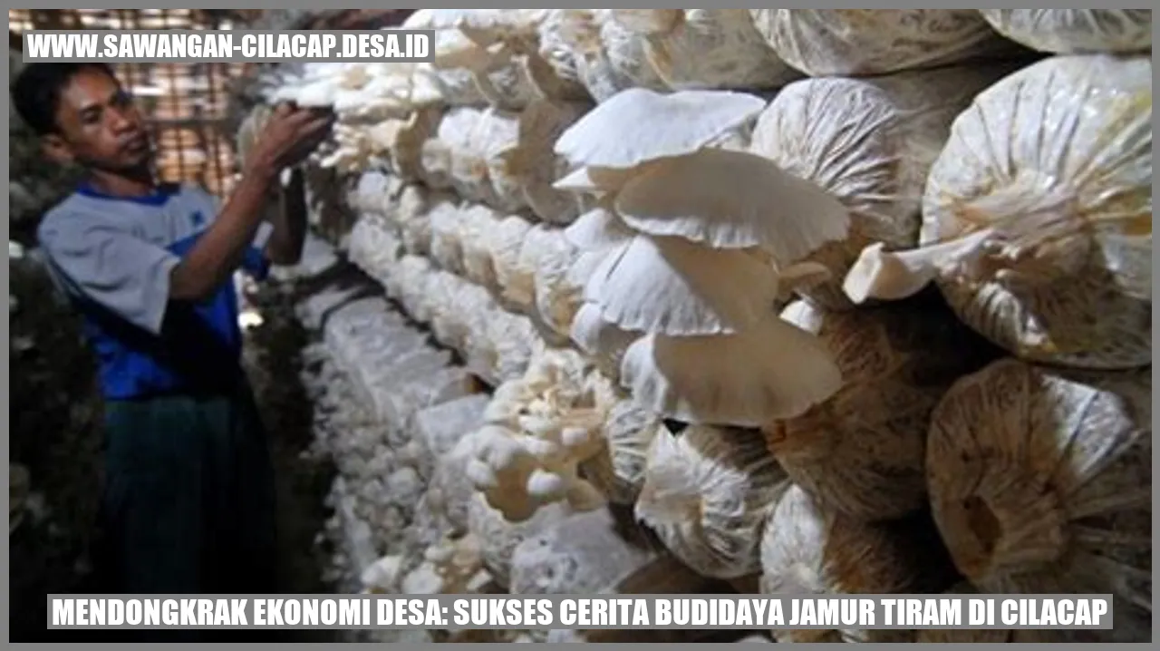 Budidaya Jamur Tiram