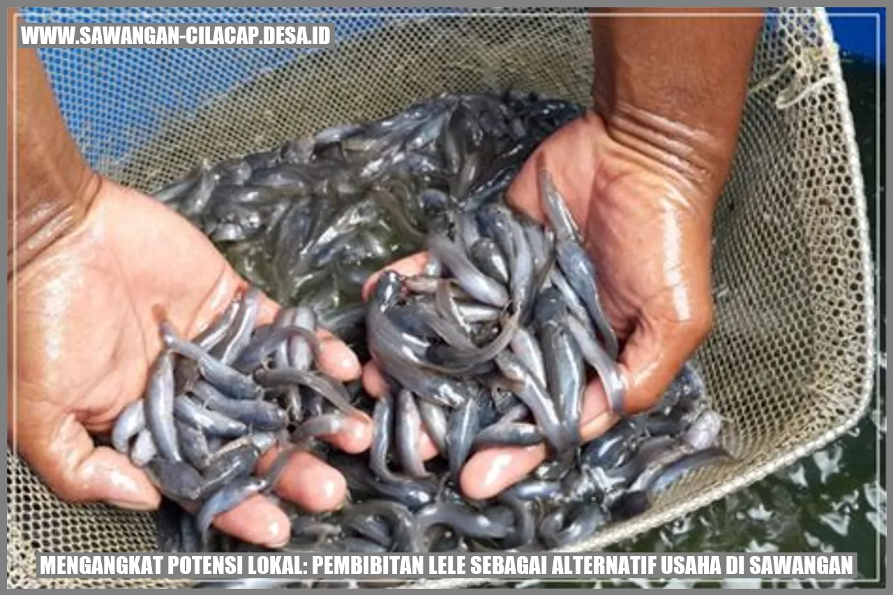 pembibitan lele