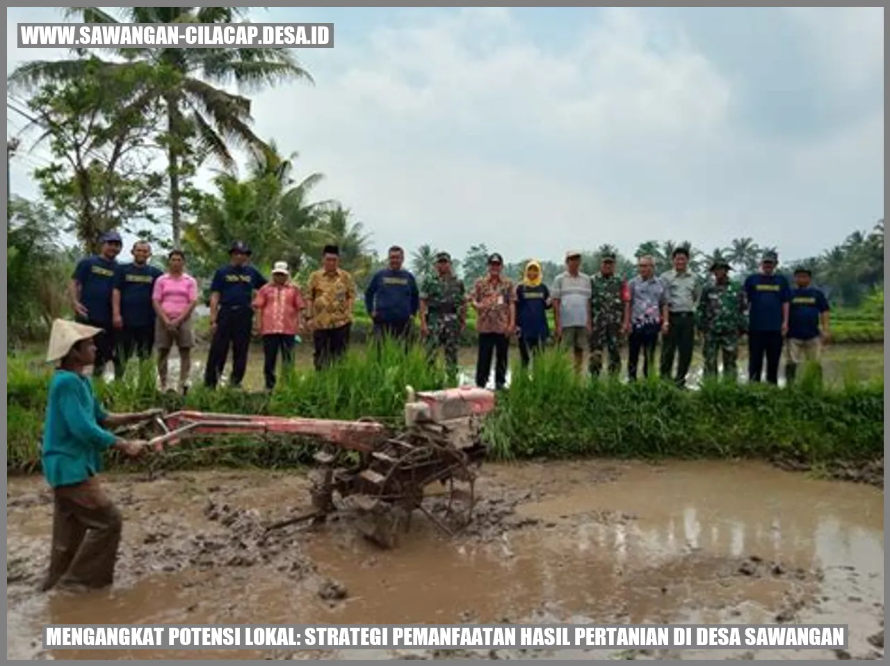 Potensi Pertanian di Desa Sawangan