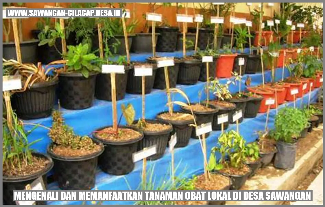 Tanaman Obat Lokal Desa Sawangan