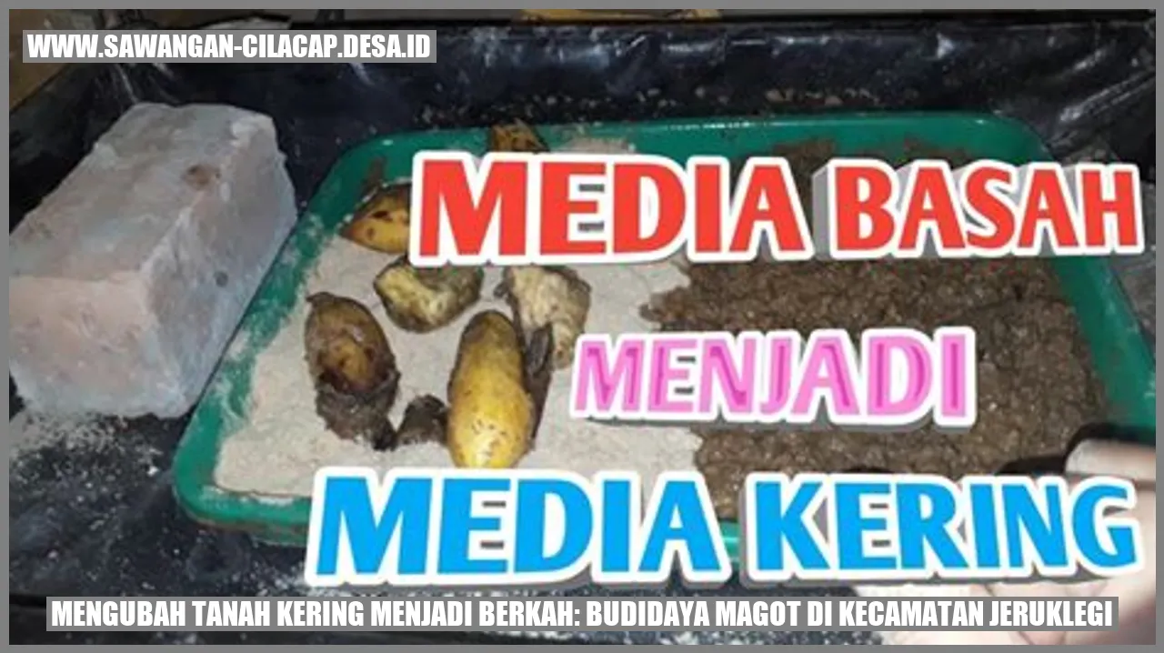 Gambar Magot