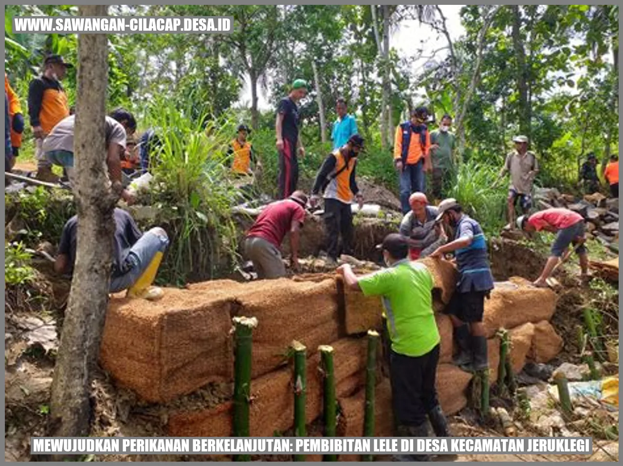 Pembibitan Lele di Desa Kecamatan Jeruklegi