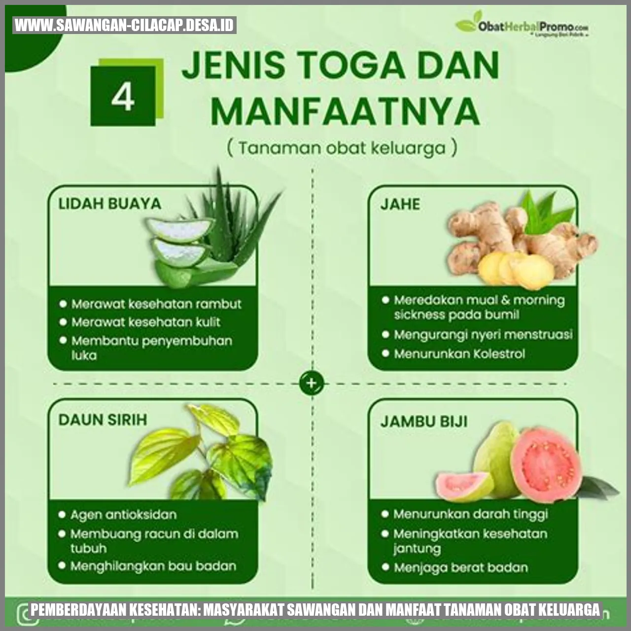 pemberdayaan kesehatan