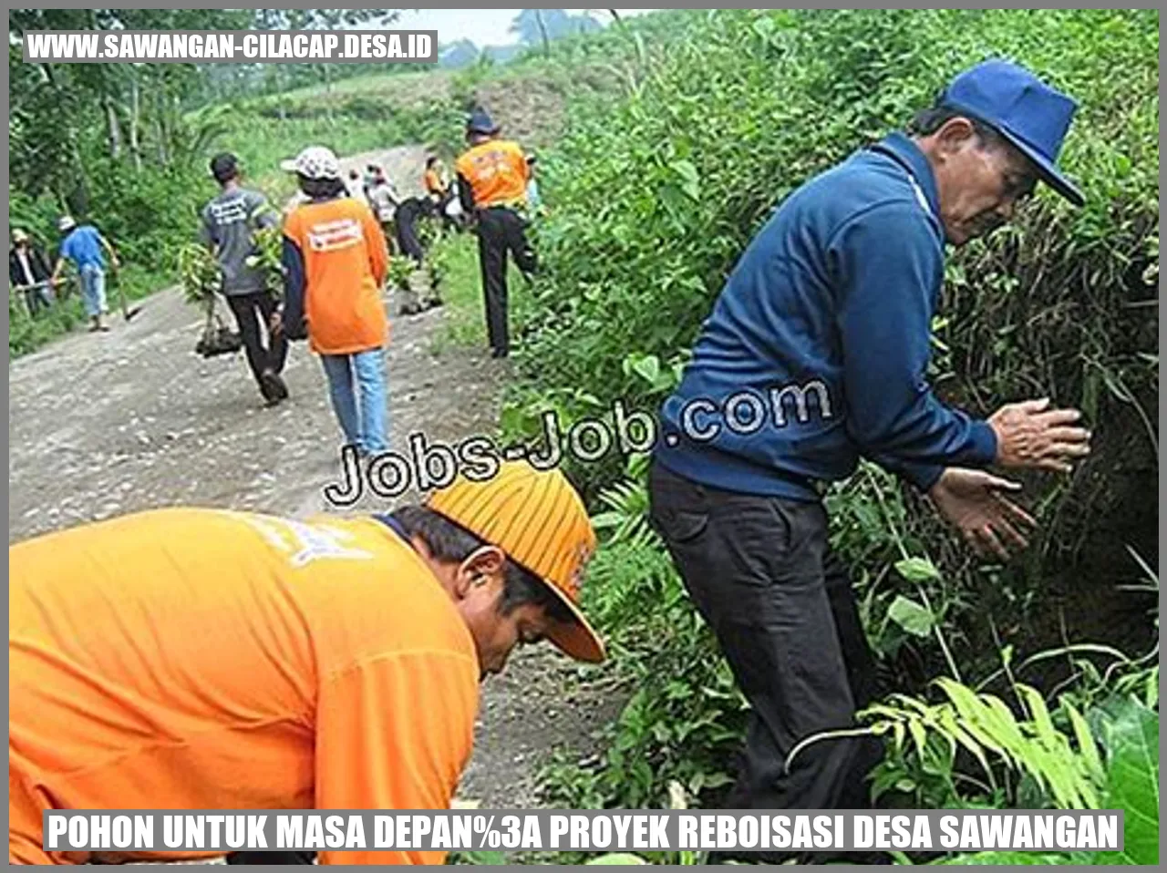 Proyek Reboisasi Desa Sawangan