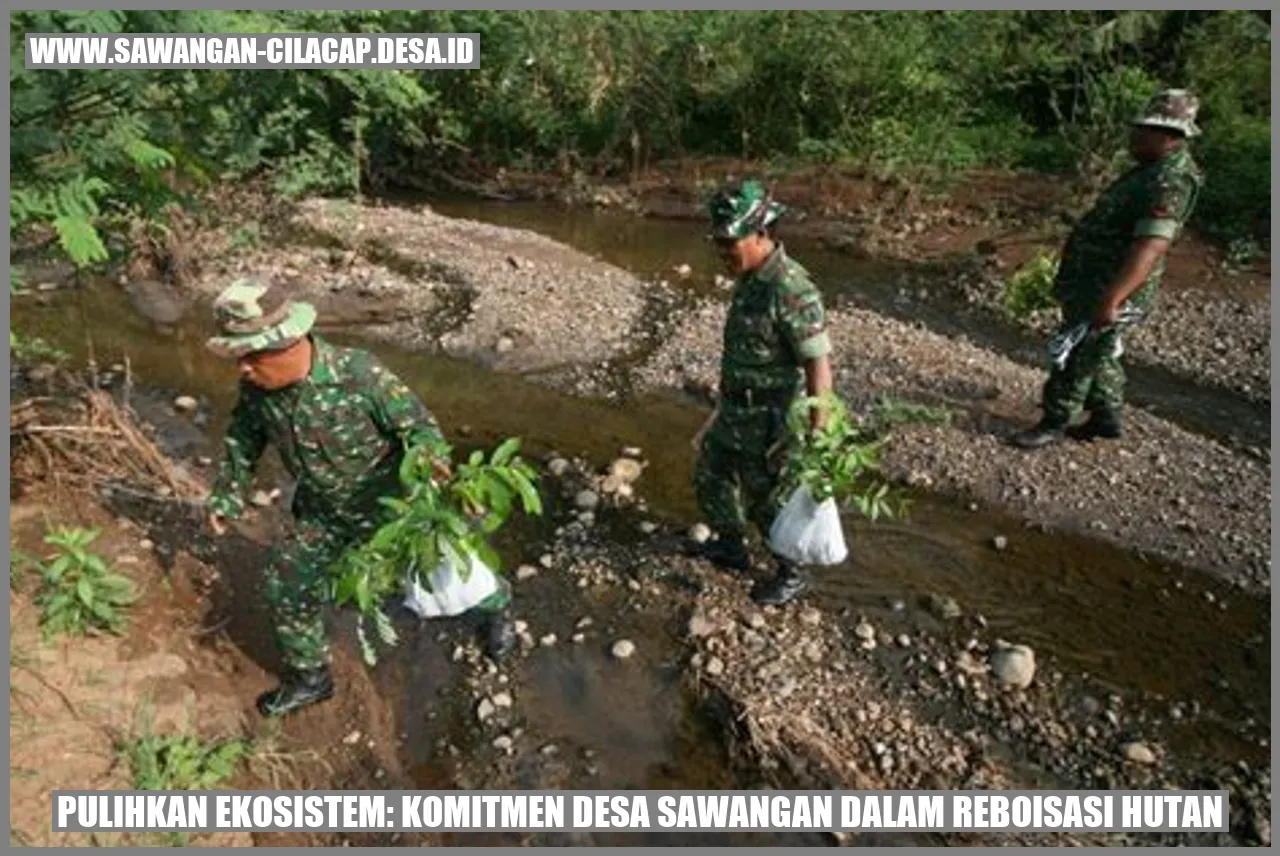 Gambar Reboisasi Hutan