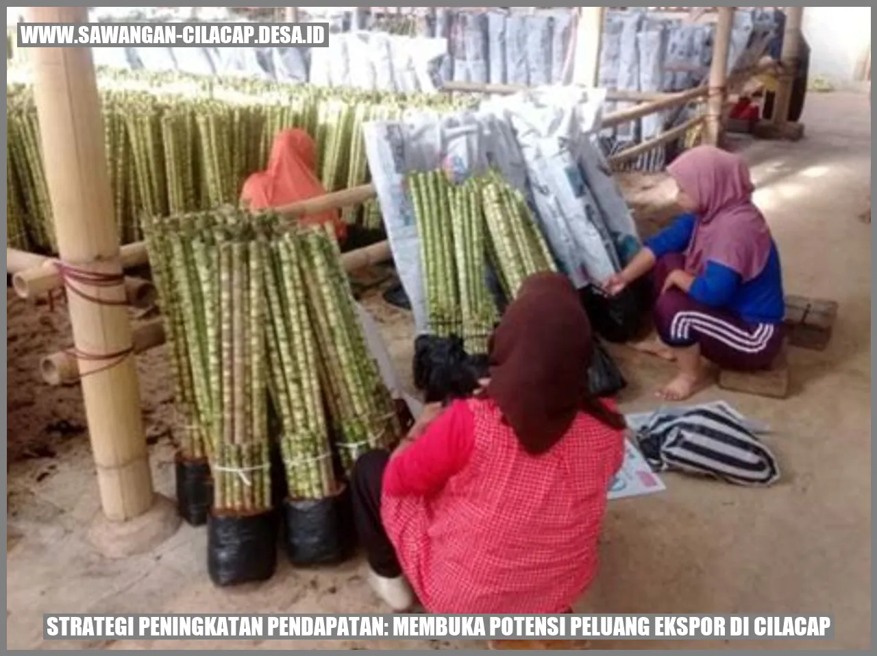 Potensi Peluang Ekspor di Cilacap