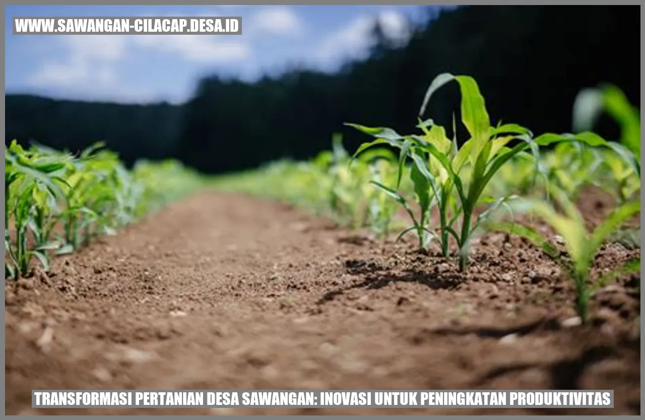 Transformasi Pertanian Desa Sawangan: Inovasi untuk Peningkatan Produktivitas